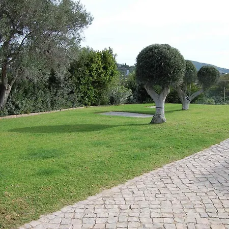 In - Algarve 51807 *