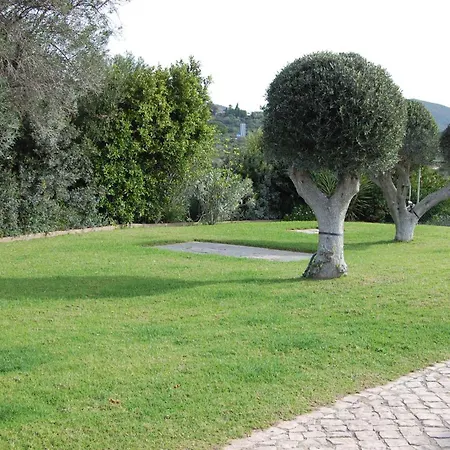 In - Algarve 51807 *