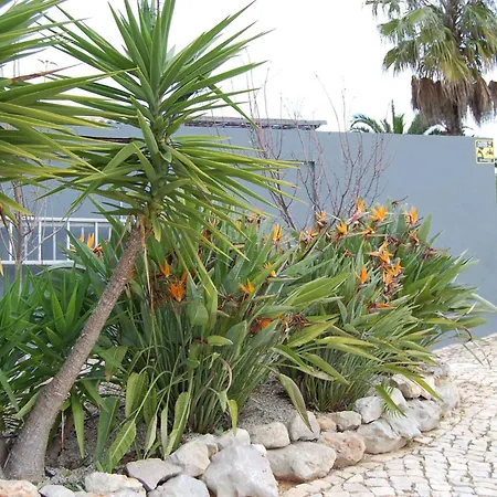 In - Algarve 51807